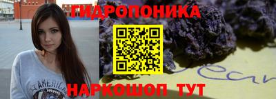 стаф Кунгур