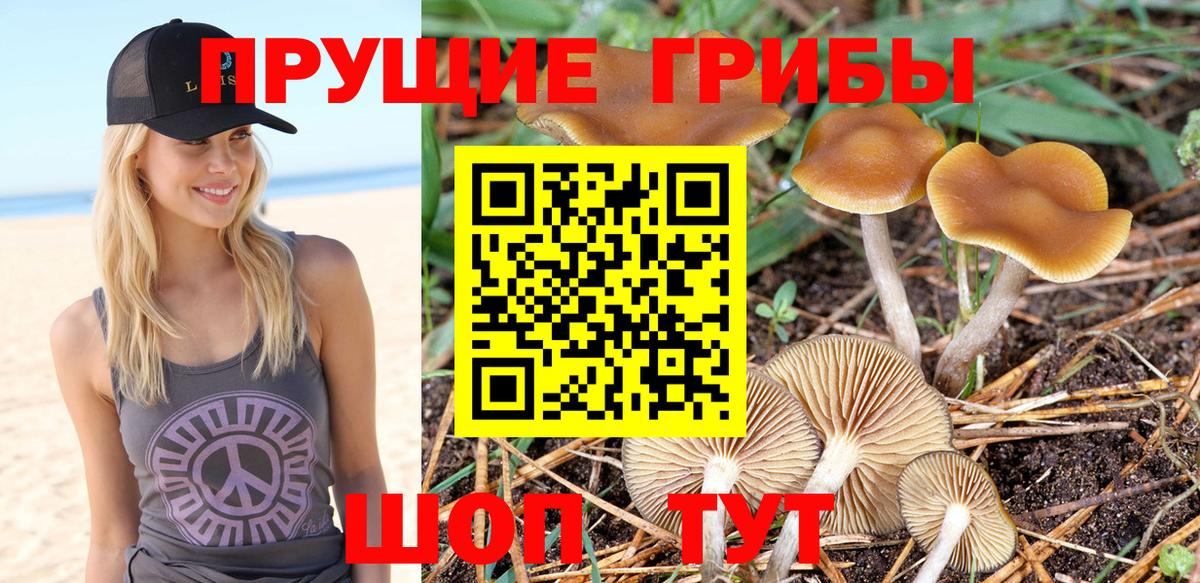 Балахна  Псилоцибиновые грибы ЛСД  Вход с VPN 