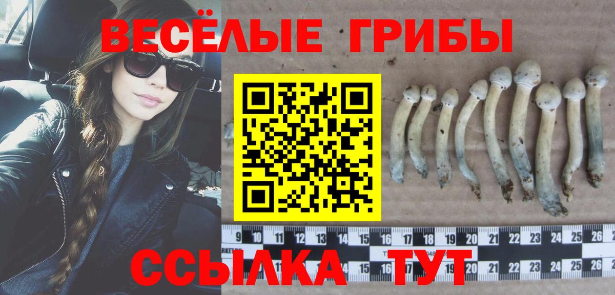 Галлюциногенные грибы Magic Shrooms Балахна